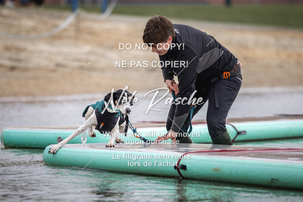 nelerasche_Hulsbeek_Sa1130-1230_665 | nelerasche