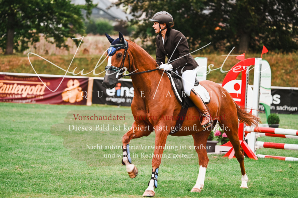 DSC_5883 | Pferde- und Turnierfotografie in Westsachsen. Pferdeportraits, Auftragszeichnungen und intuitive Kunst.