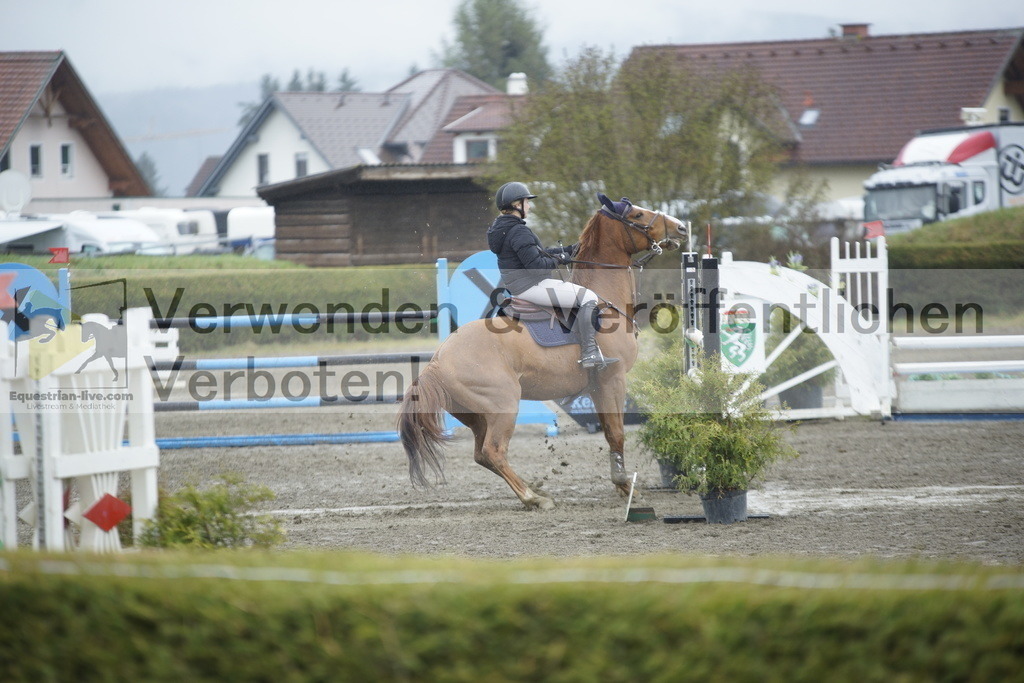 _DSC6324 | equestrian-live-com