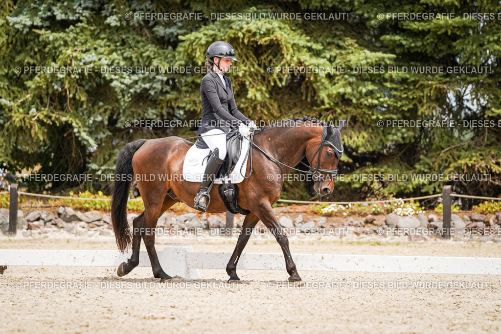 DSC04117 | Pferdegrafie