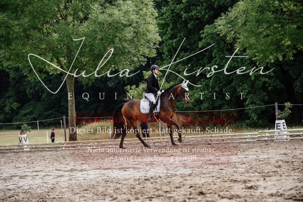 DSC_9863 | Pferde- und Turnierfotografie in Westsachsen. Pferdeportraits, Auftragszeichnungen und intuitive Kunst.