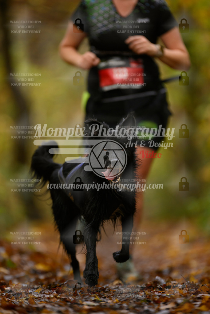 MompixPhotography_CD7S_DI_CCL-124 | mompixphotography