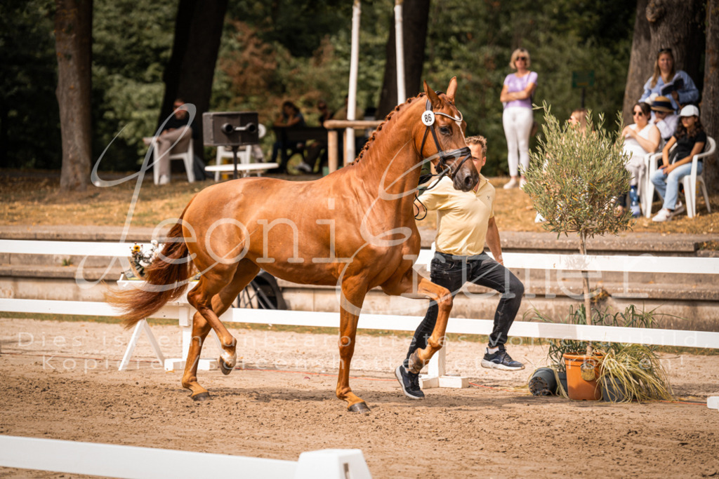 5.Fr00051 | Leoni Ertmer Photography - Realisiert mit Pictrs.com