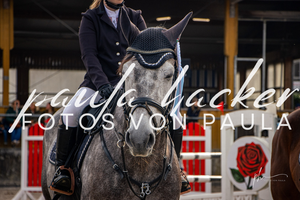 IMG_4561 | Erleben Sie dynamische Sport- und emotionale Tierfotografie in Süddeutschland mit Fotos von Paula. Spezialisiert auf Pferde- und Hundefotografie sowie Sportevents. Kontaktieren Sie mich für einzigartige und ausdrucksstarke Bilder Ihrer besonderen Momente. - Realisiert mit Pictrs.com