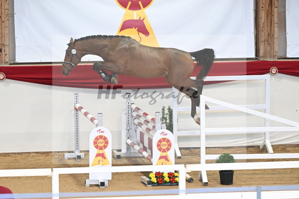 Kat.-Nr. 16 v. Denzel van het Meulenhof_Schulze Averdiek_3261595 | hf-fotografie - Realisiert mit Pictrs.com