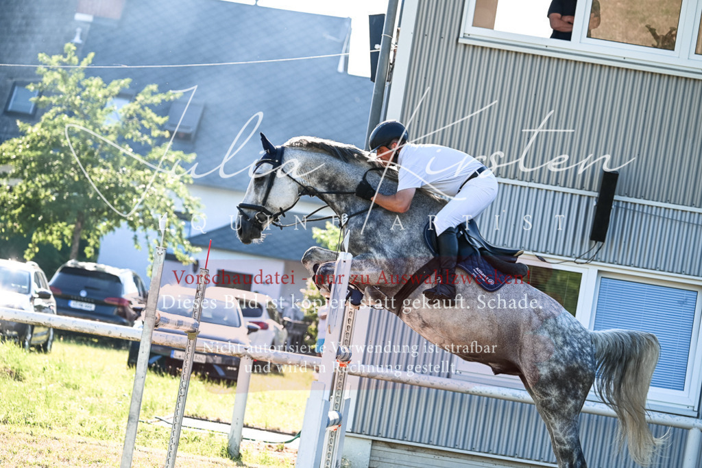 DSC_2822 | Pferde- und Turnierfotografie in Westsachsen. Pferdeportraits, Auftragszeichnungen und intuitive Kunst.