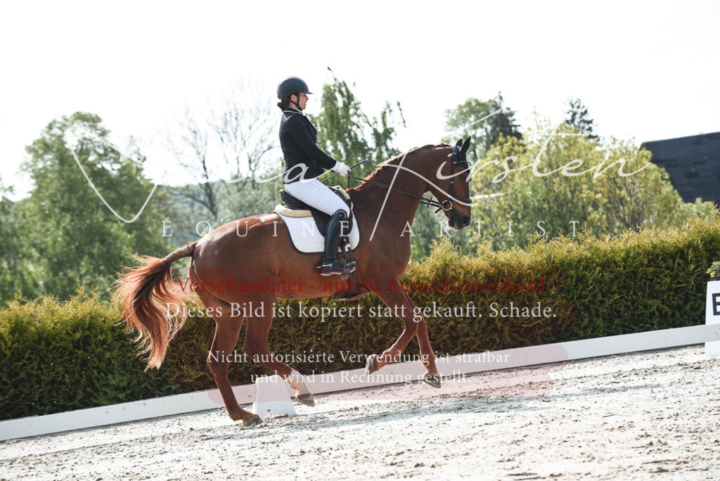20230518_JK-Röhrsdorf-09-1313 | Pferde- und Turnierfotografie in Westsachsen. Pferdeportraits, Auftragszeichnungen und intuitive Kunst.