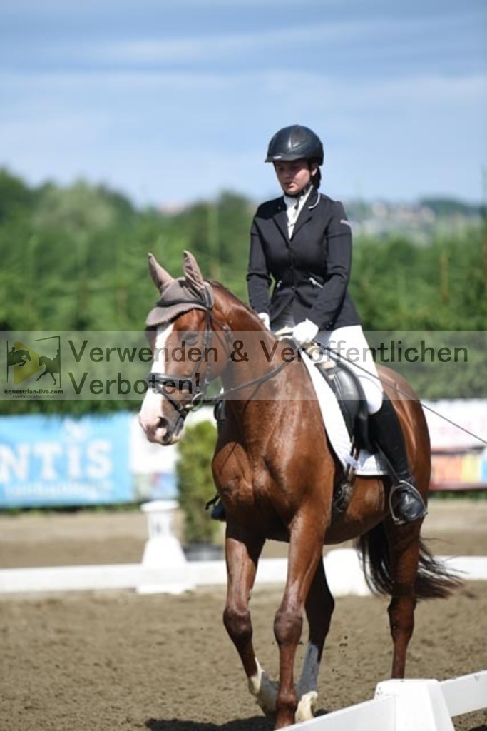 DSC_9721 | equestrian-live-com