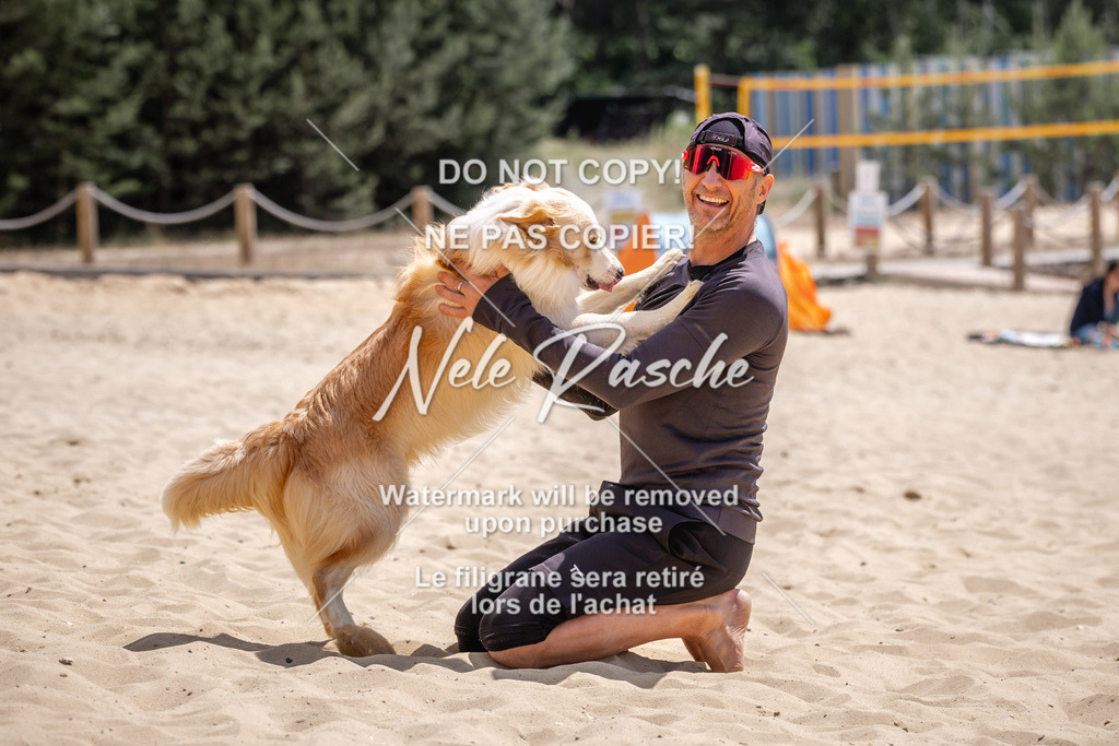 NR__2660 | nelerasche