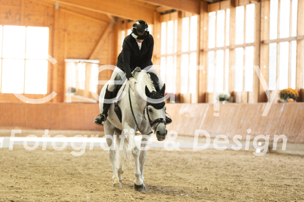 IMG_3131 | Creatify Fotografie