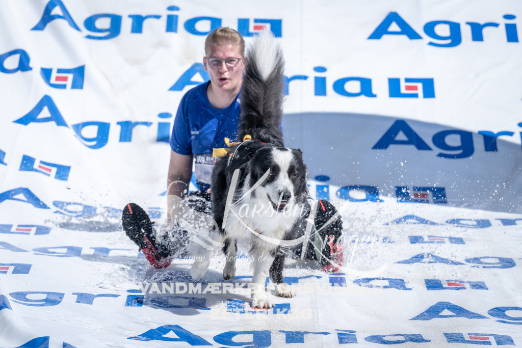 1220_ZZ96145 | kk-dogfotos