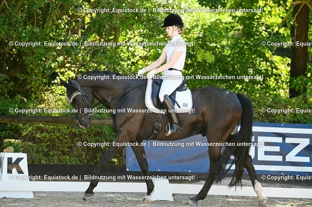 20230908_06_Dressur-L-Trense_0279 | equistock