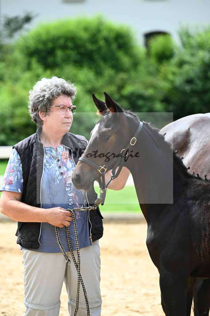 Kat-Nr. 20 Valenziano x Decurio_Gindhart_27140622 | hf-fotografie - Realisiert mit Pictrs.com