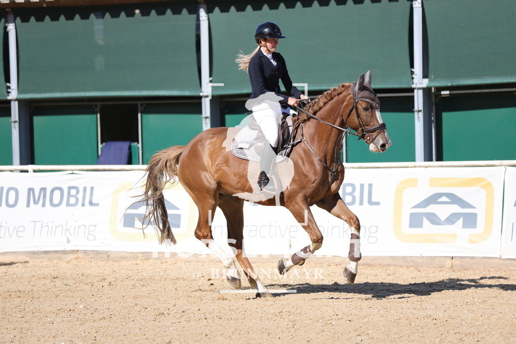 0P6A0345 | Willkommen bei Brunnmayr - Design & Fotografie – Ihrem Spezialisten für Reitturniere und Pferdeveranstaltungen in Oberösterreich, Salzburg und Bayern! Seit über 17 Jahren sind wir leidenschaftlich dabei.