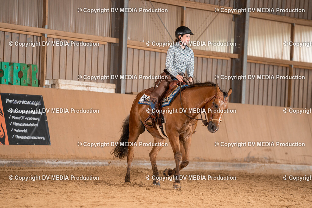 Losheim Tag 1-455 | dv-media-shop - Realisiert mit Pictrs.com