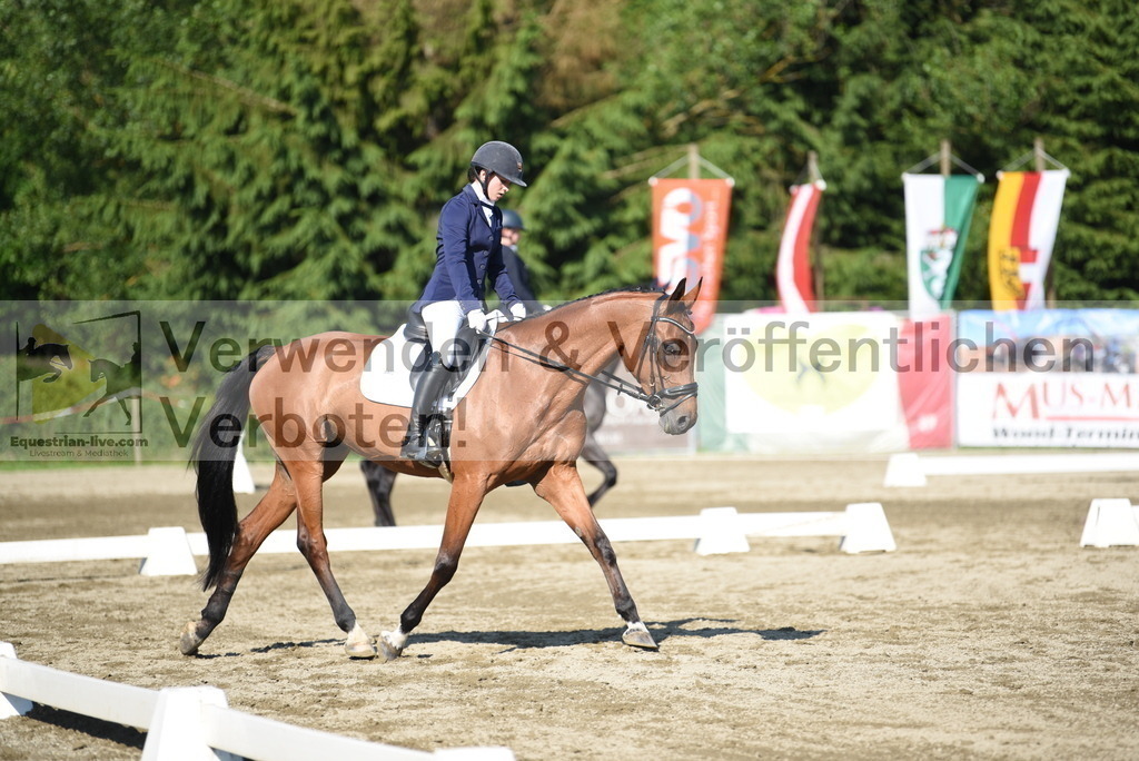 DSC_7218 | equestrian-live-com