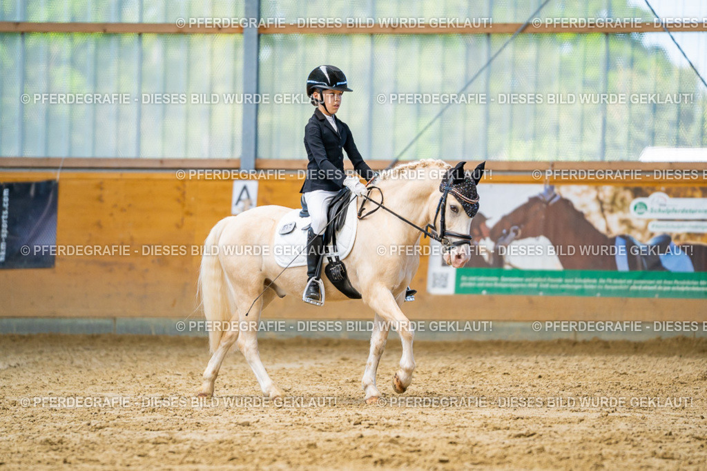 DSC07395 | Pferdegrafie