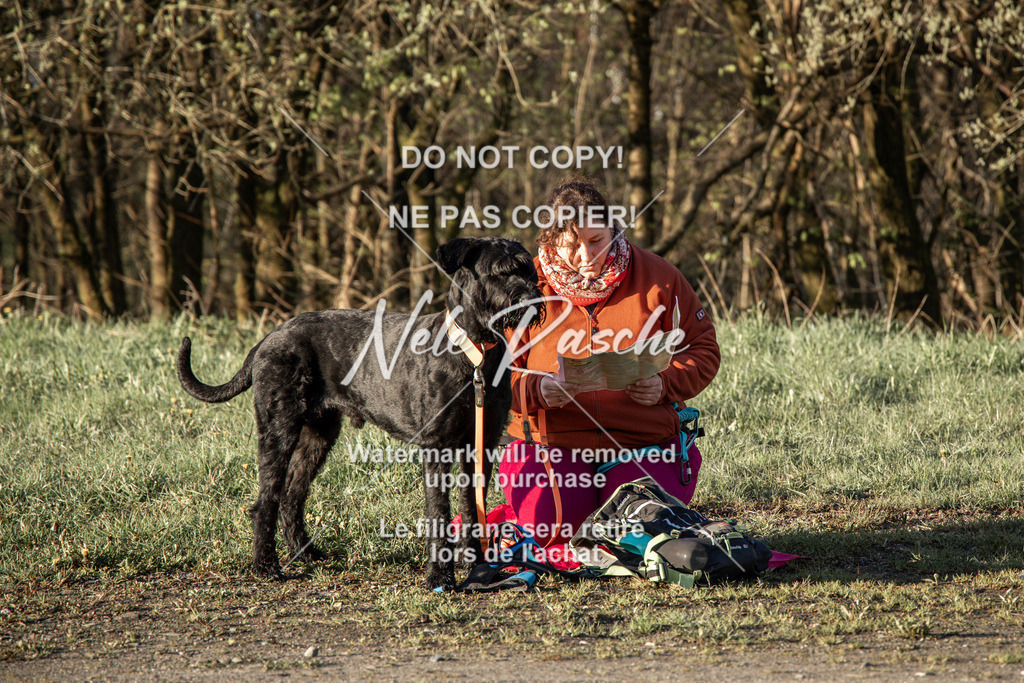 NR__0184-2 | nelerasche