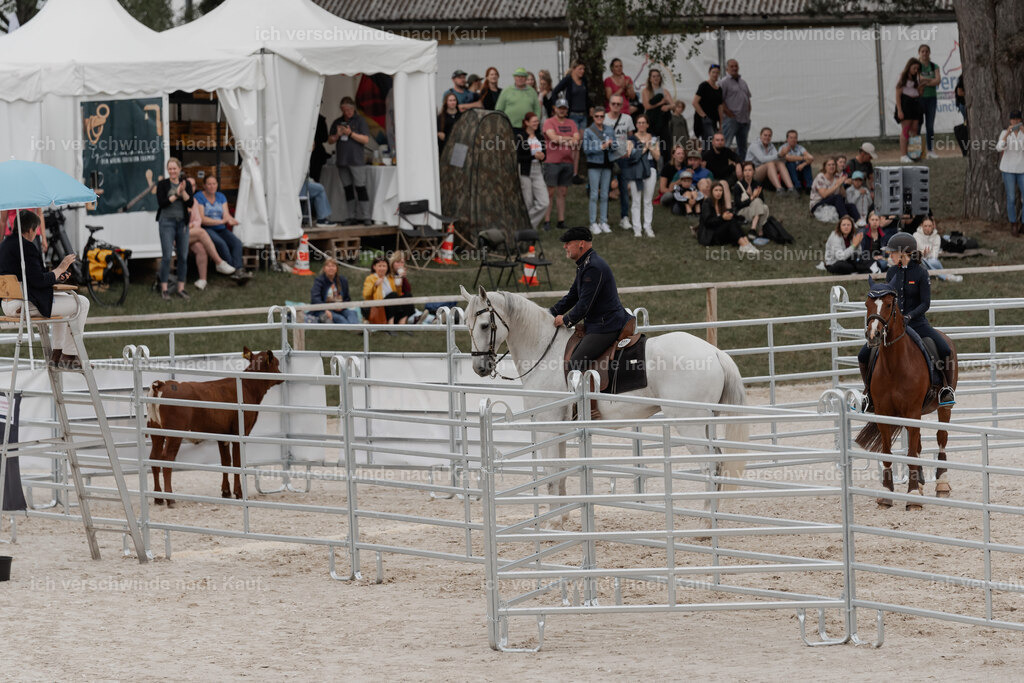 WE__Stoib_Rinder_PI2025_3068 | Pferd International München 2025