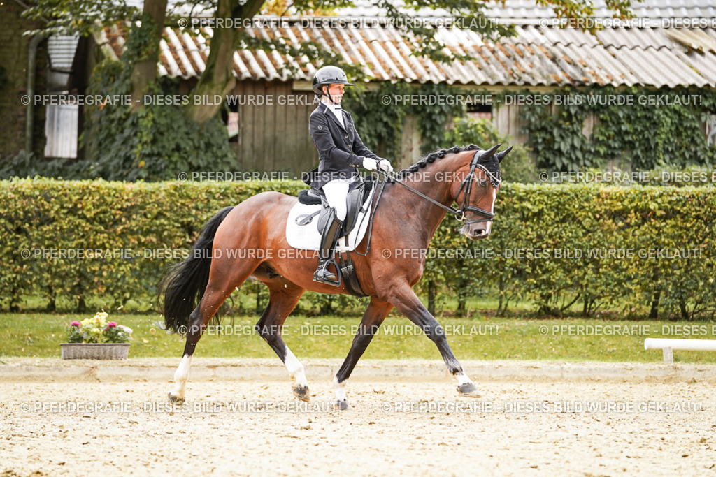 DSC02997 | Pferdegrafie