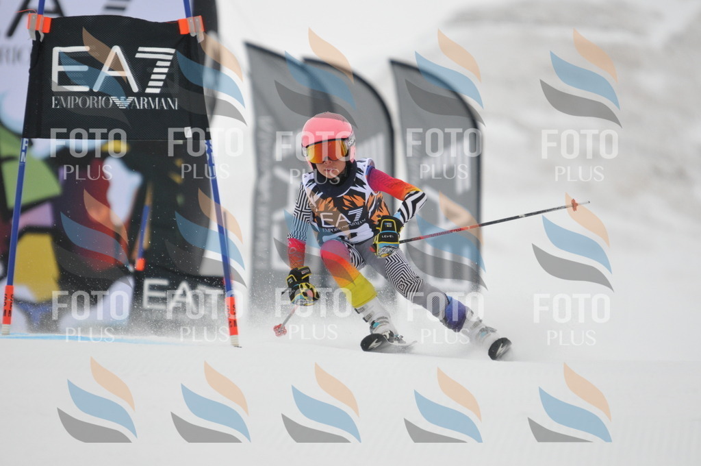 DSC_7553 | holidayphoto