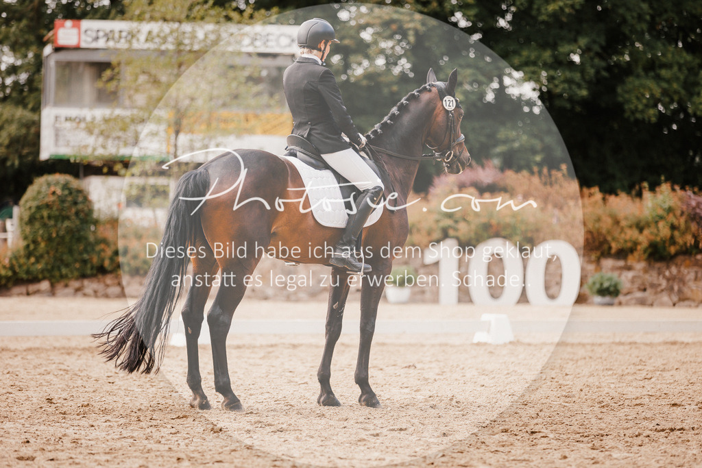 3I6A6233 | Stimmungsvolle Portraits und Reitsportfotografie im Ruhrgebiet und im Münsterland.

Pferdefotografie, Hundefotografie, Tierfotografie, Reportagen, Portraits von Tier und Mensch, Turnierfotografie in Bochum, Recklinghausen, Marl, Haltern am See, Dülmen.. - Realisiert mit Pictrs.com