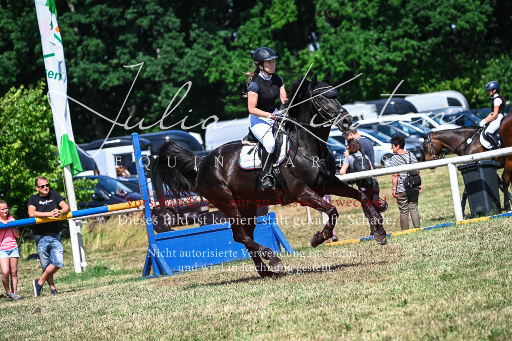 DSC_1347 | Pferde- und Turnierfotografie in Westsachsen. Pferdeportraits, Auftragszeichnungen und intuitive Kunst.
