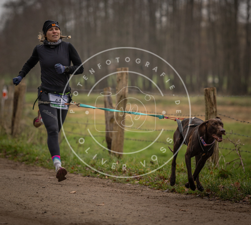 Pfotenfotografie_DV3A2709 | Hundefotografie, Tierfotograf, Pfotenfotografie, Fotoshooting Hund, Hunde Portrait, Hundesport, Hundeportraits, Heideshooting, Hunde, Sportfotograf, Hundefotograf, Turnierhundsport, THS,  - Realisiert mit Pictrs.com