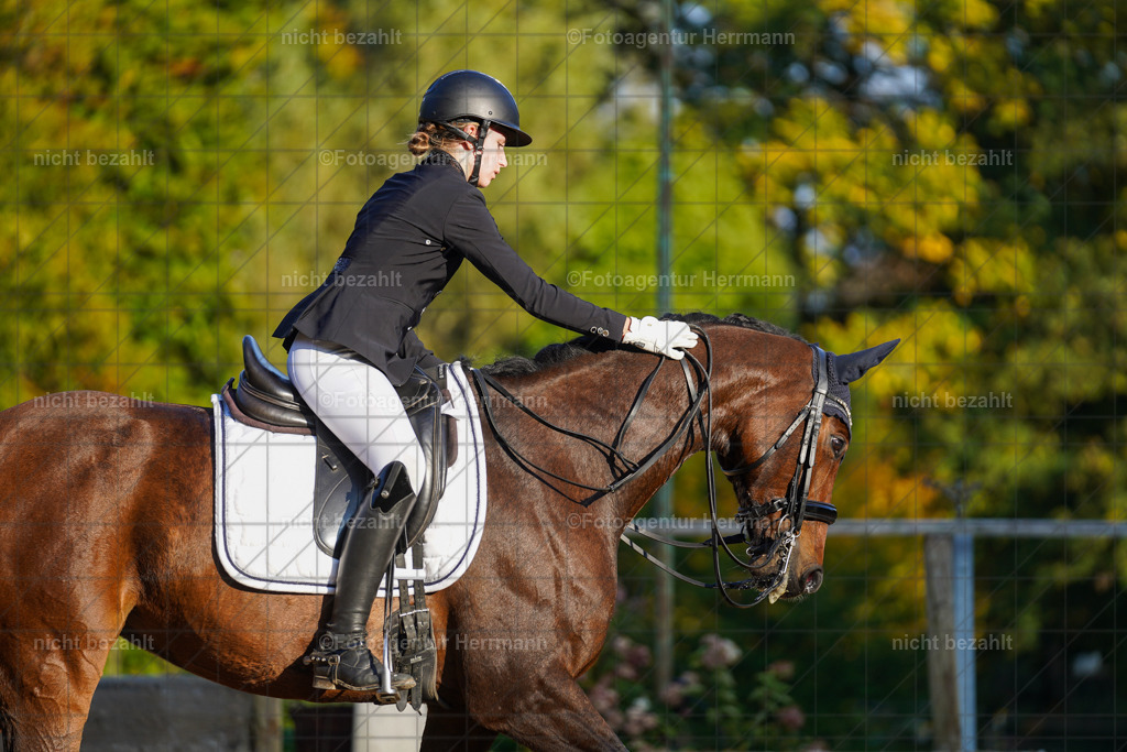 20221007-FAH00313 | Diessen am Ammersee, 2022, Dressur- und Springturnier, Reitsportbilder, Turnierfotografen Bayern, Pferdefotografen, Fotoagentur Herrmann, Turnierbilder