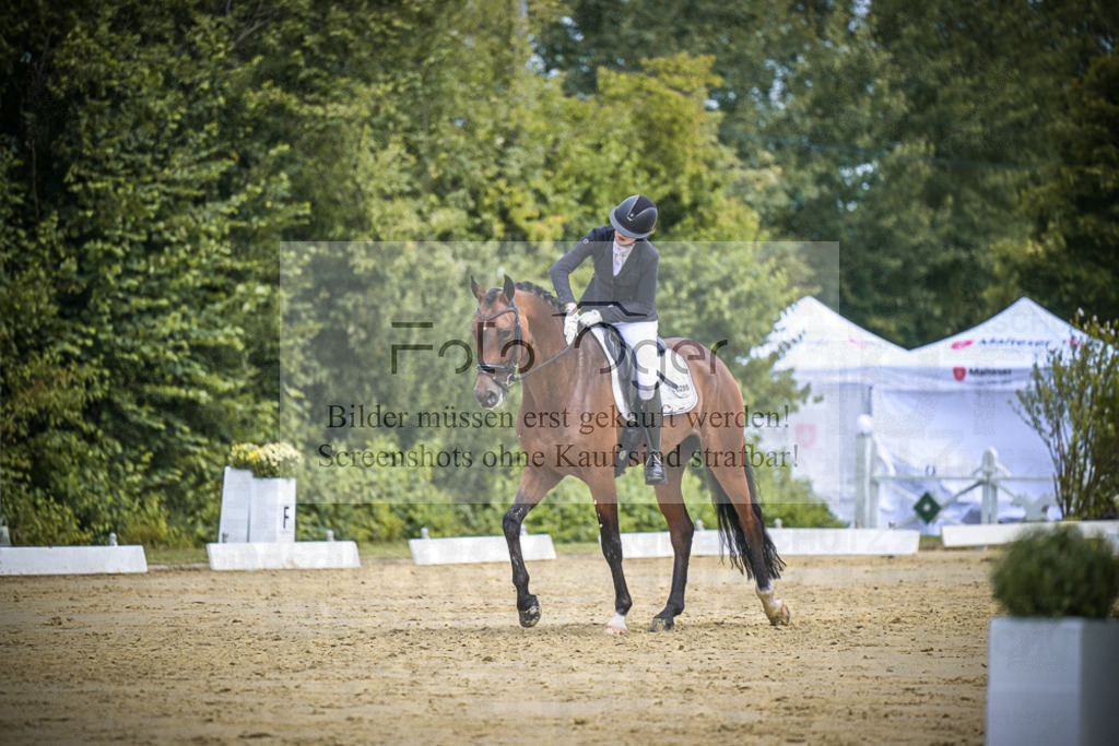 DOS_3052 | Entdecke hochwertige Reitturnierfotos von Foto Oger. Professionell, emotional und authentisch – jetzt Lieblingsmomente im Shop bestellen.Deutschlandweite Turnierfotografie. - Realisiert mit Pictrs.com