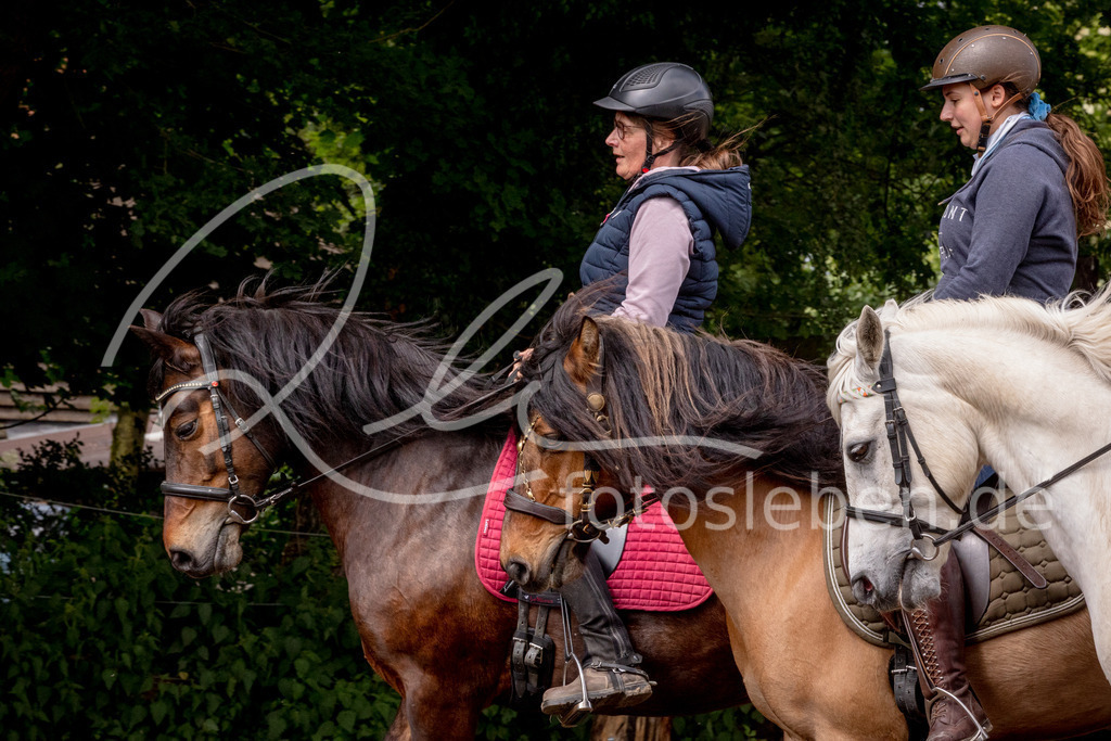 846A0999 | fotosleben - Realisiert mit Pictrs.com