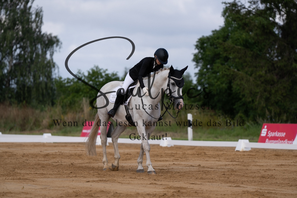 A7V05156 | Pferdefotograf