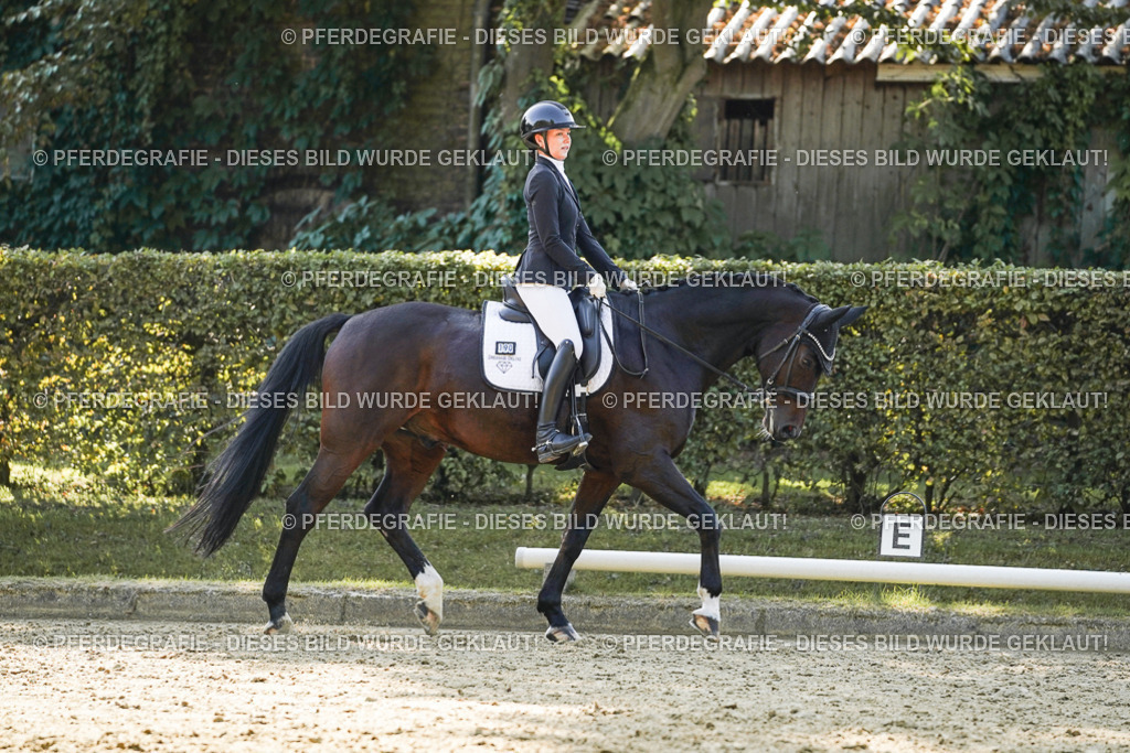 DSC06371 | Pferdegrafie