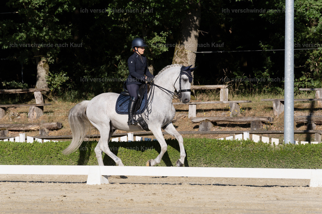 WM_DR_143_sinafilmart_IN04544 | working equitationturnier fotograf videograf stoibphotography marixx film working equitation deutschland reitsport turnierfotografie eventfotografie equestrian events