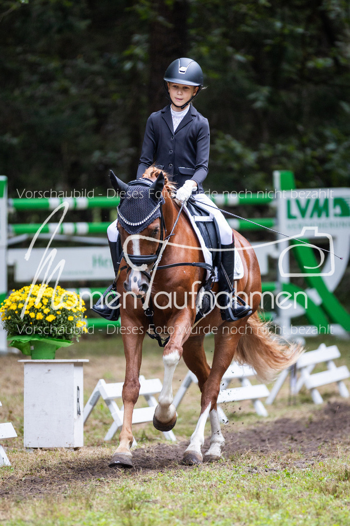 HB-Reiter-WB-068 | MomenTaufnahmen Pferdesportfotos