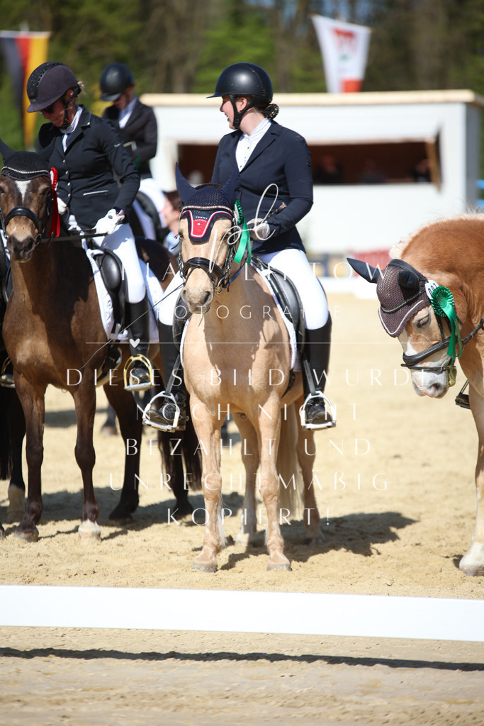 IMGT2394 | pl-fotografie