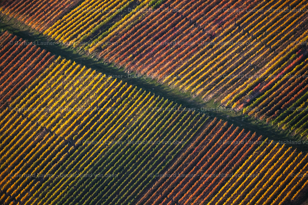 4042402 | Weinbergslandschaft an der Mainschleife bei Escherndorf und Nordheim