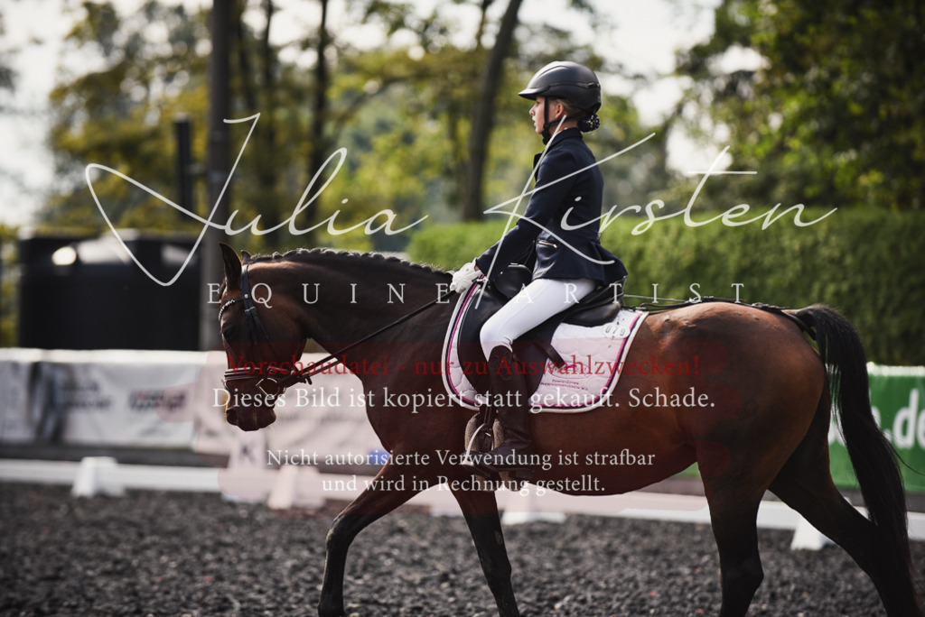 DSC_3688 | Pferde- und Turnierfotografie in Westsachsen. Pferdeportraits, Auftragszeichnungen und intuitive Kunst.
