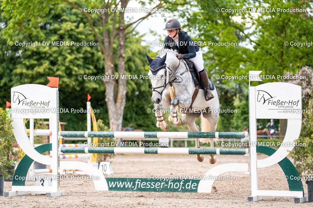 Eppelheim Tag 2-544 | dv-media-shop - Realisiert mit Pictrs.com