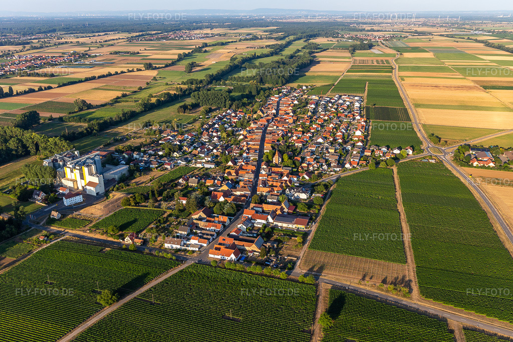 Luftbild: Getreidemühle der Cornexo GmbH in Freimersheim im Bundesland Rheinland-Pfalz in Deutschland. Foto: IMG_133803.jpg vom 16.08.2022 durch Werner Riehm/FLY-FOTO.deCornexo | Maisgrieß und Maismehl