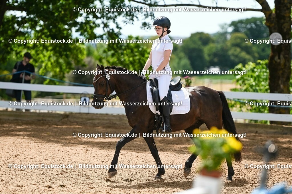 20230715_09_Dressur-WB_0220 | equistock