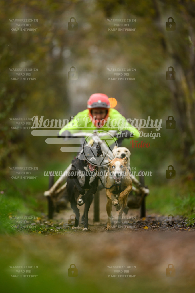 MompixPhotography_20TSB_E6_Kart-1 | PayLife