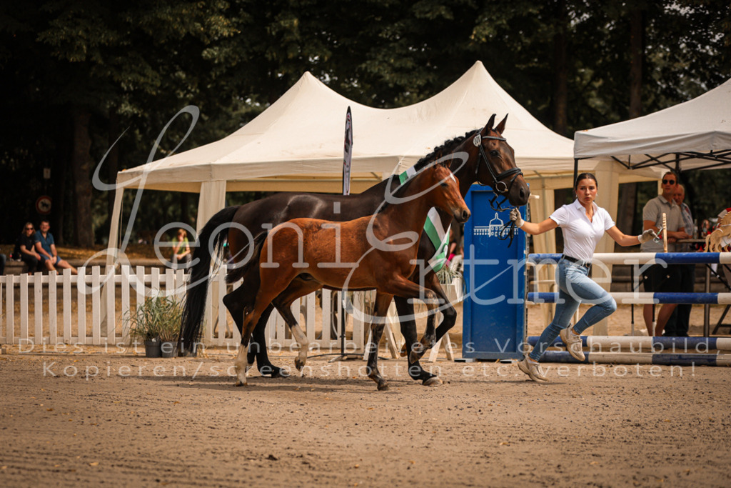 SaPA00007 | Leoni Ertmer Photography - Realisiert mit Pictrs.com