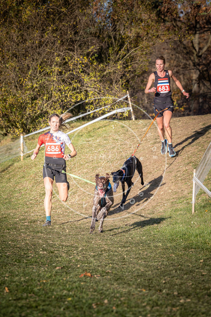 CaniXpix_0L8A9297 | Hundefotografie, Tierfotograf, Pfotenfotografie, Fotoshooting Hund, Hunde Portrait, Hundesport, Hundeportraits, Heideshooting, Hunde, Sportfotograf, Hundefotograf, Turnierhundsport, THS,  - Realisiert mit Pictrs.com