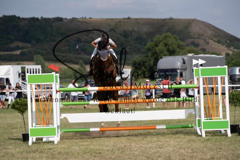 A7V02633 | Pferdefotograf