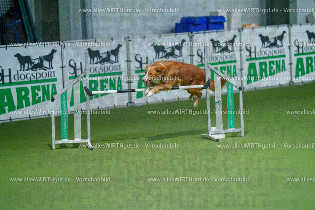 @allesWIRTHgut_Tierfotografie - www.allesWIRTHgut.de - 2604250946-7R508920 | Professionelle Tierfotografie in Mönchengladbach von Daniel Wirth (allesWIRTHgut). Liebevolle & natürliche Bilder von Hunden & Katzen für unvergessliche Erinnerungen.