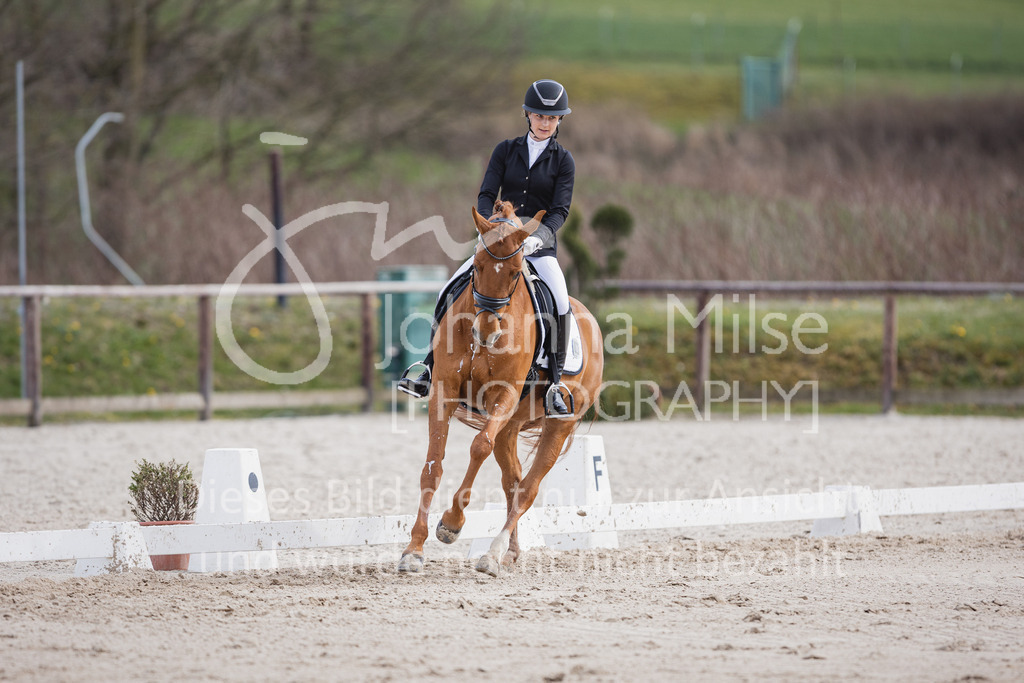230410_Frühlingsfest_Dressurreiter-L-632 | Deine schönsten Turniermomente als professionelle Fotos! Entdecke hochwertige Pferdesport-Fotografie im Online-Shop. Jetzt Fotos finden & bestellen!