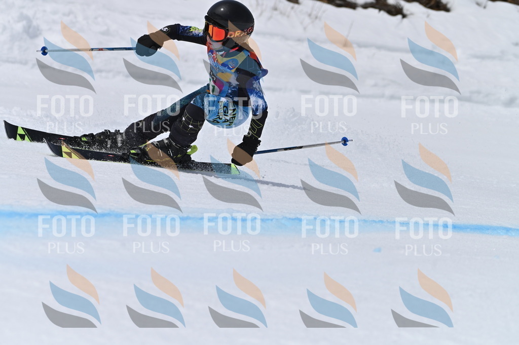 BGV_4090 | holidayphoto