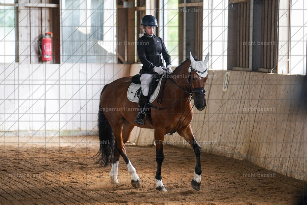 20230521-FAH05829 | Frühjahrsturnier, Landsberg am Lech, 2023, Reitclub Landsberg, Turnierbilder, Fotos Turnier Landsberg, Fotoagentur Herrmann, Turnierfotografen Bayern, Reitsport Fotograf, Pferde Fotograf