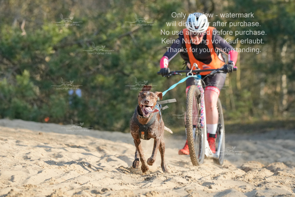 So_Scooter-26 | stephaniefillaphotographie - Realisiert mit Pictrs.com